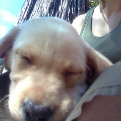 Sam 10 weekjes