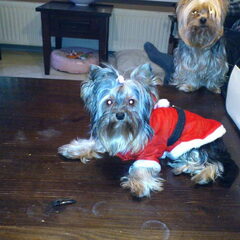 Beauty wou ook!