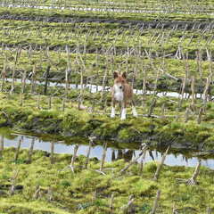 ...en toen durfde ze ineens niet meer...!