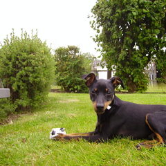Zaro , 6maand
