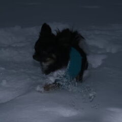 Nasja mee op wintersport in Tsjechie (L) 2009