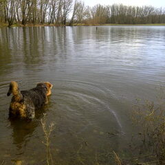 Lekker uitwaaien en pootje baden 5-1-'12