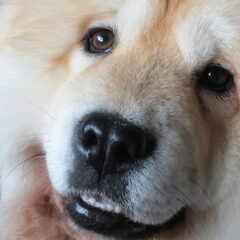 Lieve Pip......