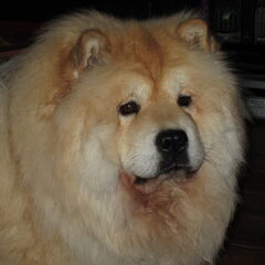 Onze Pip zorgt zoooo goed voor Bob!!