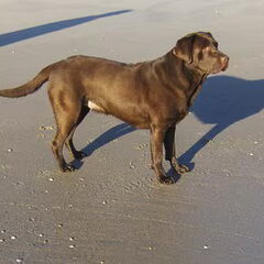 heelijk aan zee