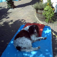 in de tuin op MIJN matras XD