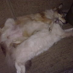 best friends