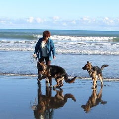 Op het strand van Kariotahi beach (zuid Auckland) wat heeft…