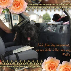 Fallia is heel sociaal op elk gebied en reist met ons…