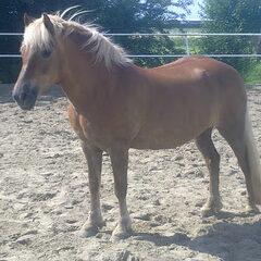Onze andere lekkere dame