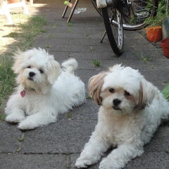 Luna en Zoë