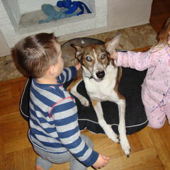 Met de kindjes,aai Tommy aai