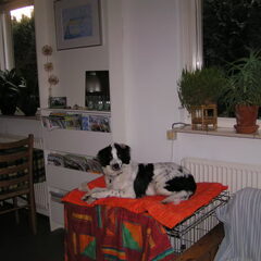 Bovenop de bench.