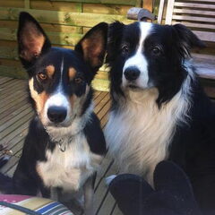 Lizzie en Bowie