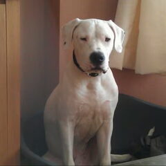 net onder de douche geweest, dus ben weer fris en WIT!!