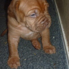 ik ben mooi