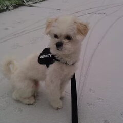 Brrr....Koud!