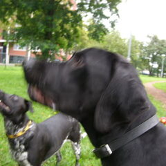 Carlos met Tessa