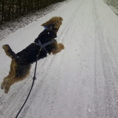 Jump