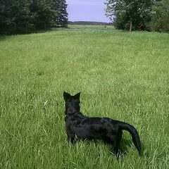 In onze 'achtertuin' op haar tweede dag in Nederland =)