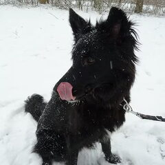 Sneeuw, sneeuw, sneeuw