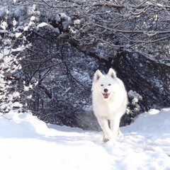 Yes sneeuw!!
