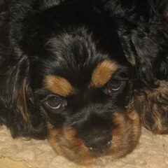 Bil, my best friend!