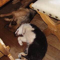 relax bij wanda