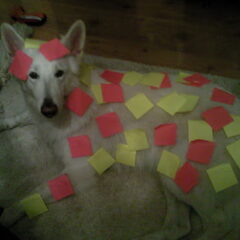 post-it