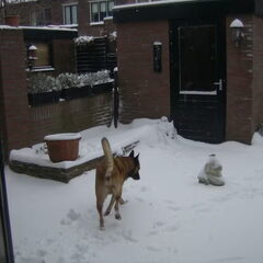 toch weer wennen die sneeuw