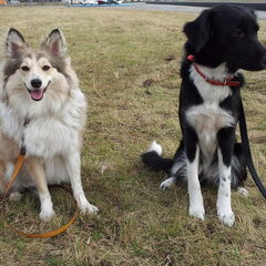 Fleur en Phoebe
