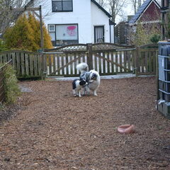 samen op een houtje
