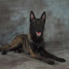 Axel