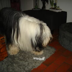..en eten.