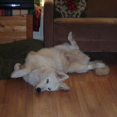 Heerlijk relax