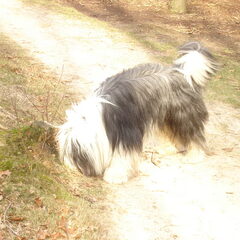 ..en snuffelen.