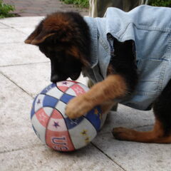 Esry is verzot op de bal