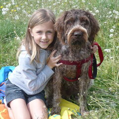 Onze Griffon Korthals (1jaar) met dochter in de ardennen.