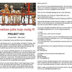 Laat uw hart spreken en steun project 3000.