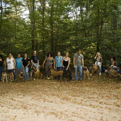 Boerboelwandeling november 2011