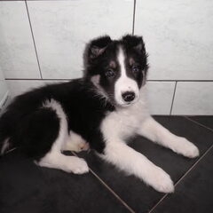 dit is alysia twee maanden oud