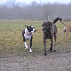 Wandeling St.P.