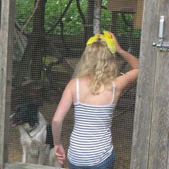 Met Laika in de voliere en de vogels op mijn hoofd haha