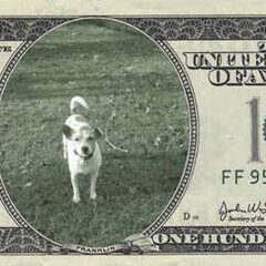 max in geld