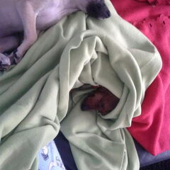 yuna en pinchie