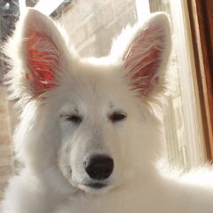 I'm soooo sexy *wink*