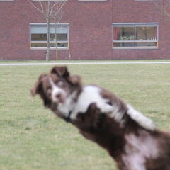 Hahahaha Lucky Shot!