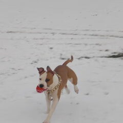Diva in de sneeuw