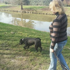 Mama met Hummer!