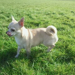 Bailey!